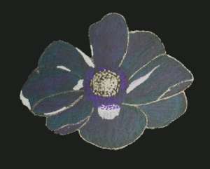poème et fleur séchée 1