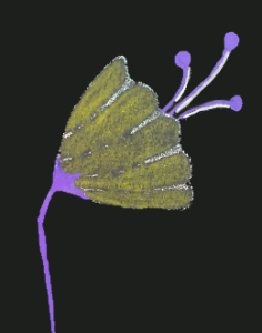 poème et fleur séchée 2