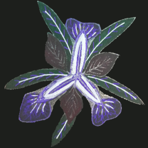 poème et fleur séchée 4