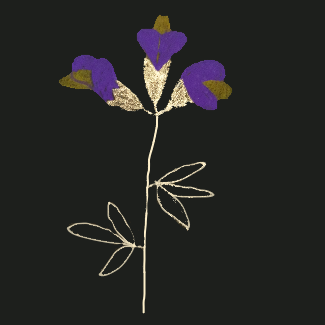 poème et fleur séchée 3